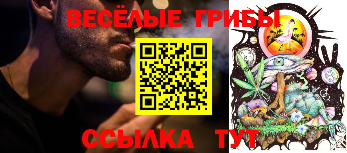 Псилоцибиновые грибы Cubensis Великие Луки
