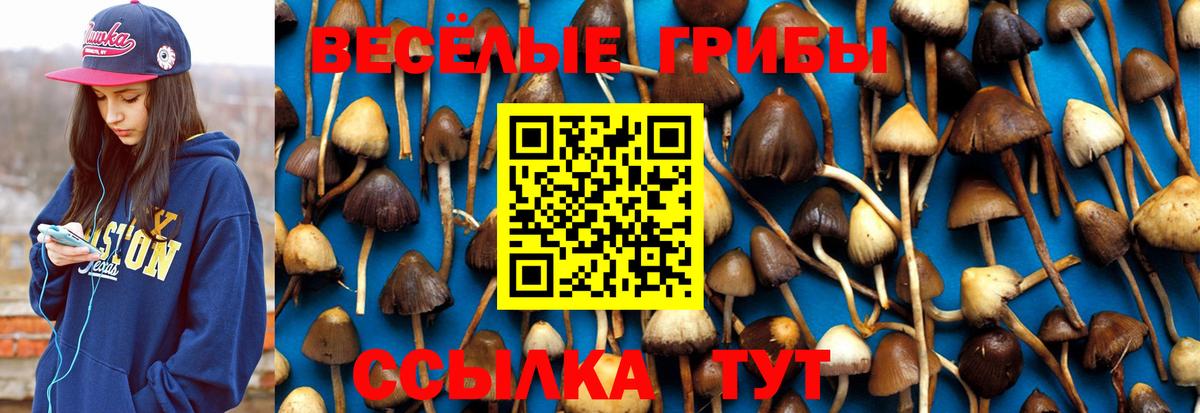 Великие Луки  Галлюциногенные грибы Psilocybe  Вход с VPN 